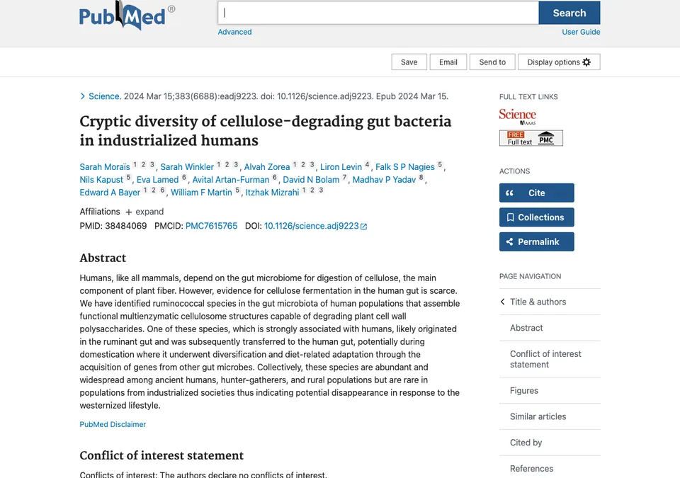 Cryptic diversity of cellulose-degrading gut bacteria in industrialized humans